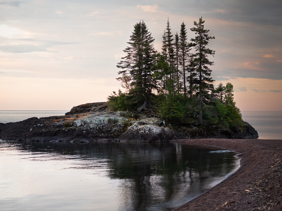 a rocky island with trees on it