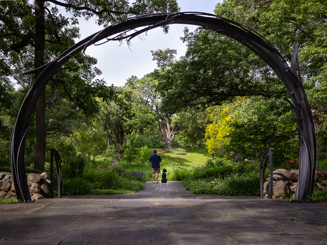 a person and dog walking in a park