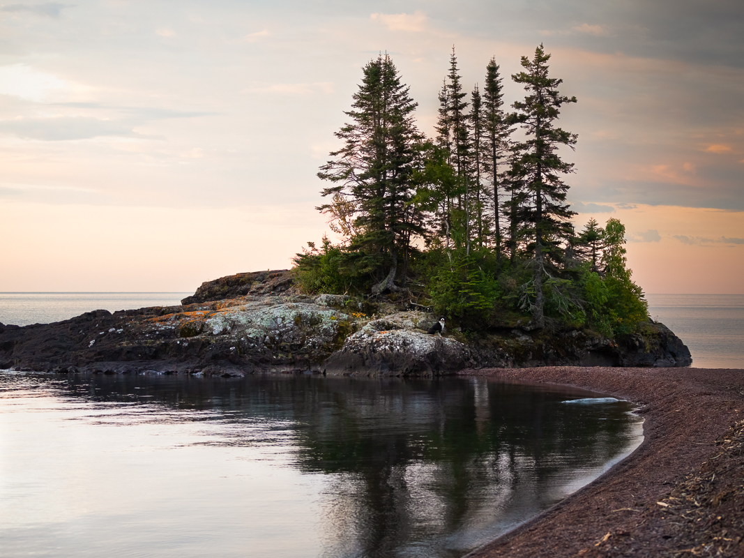 Dog sitting on a northern lake island surrounded by trees and rocks