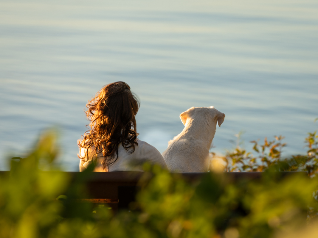 Woman and her dog viewing the lake