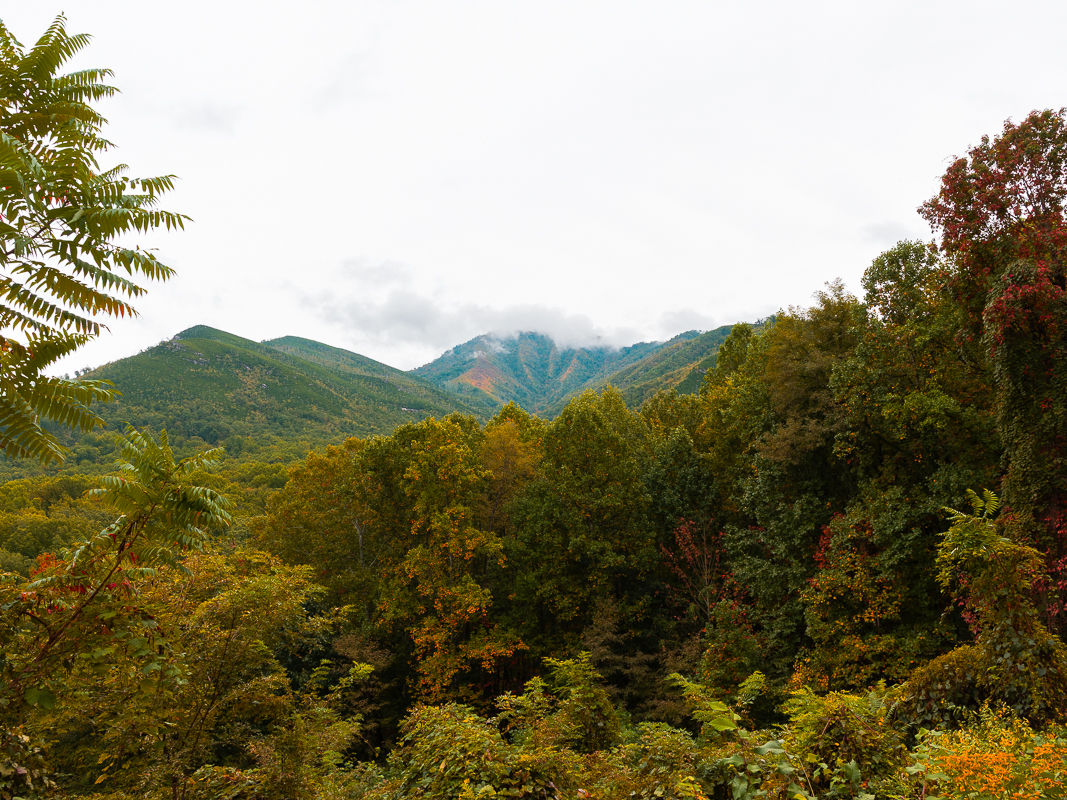 Beth Billstrom Photography 8 Colorful trees in mountainous landscape