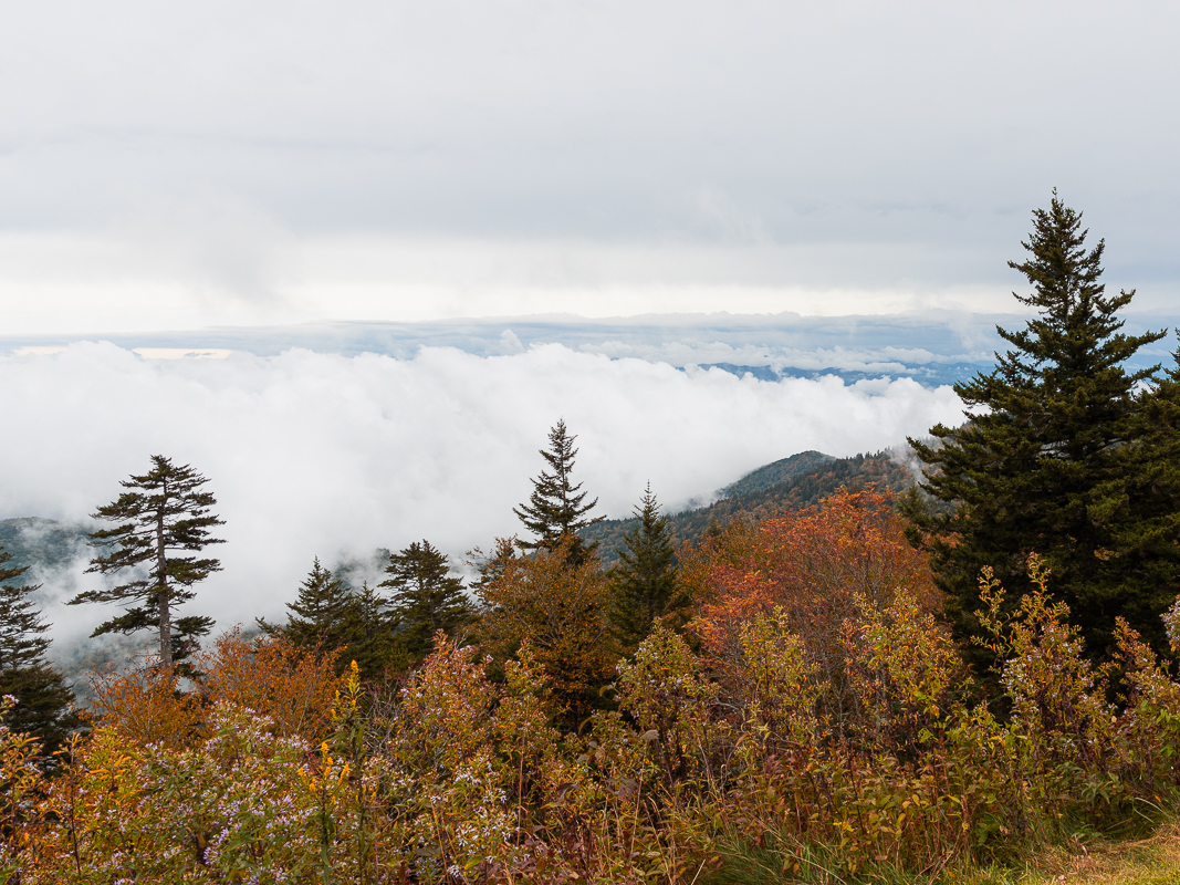 Beth Billstrom Photography 9 Foggy mountains with colorful foliage