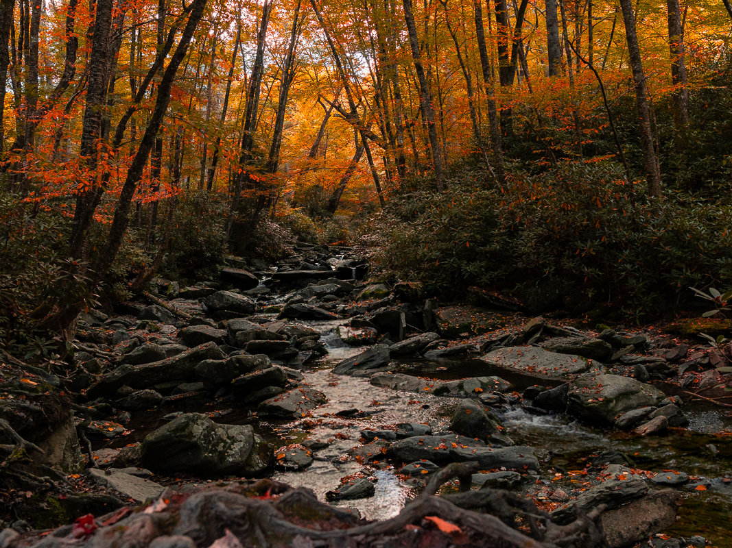 Beth Billstrom Photography 10 Autumn stream in rocky forest