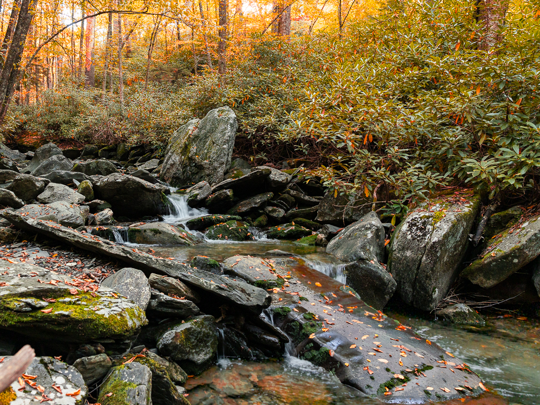 Beth Billstrom Photography 11 Autumn stream in rocky forest